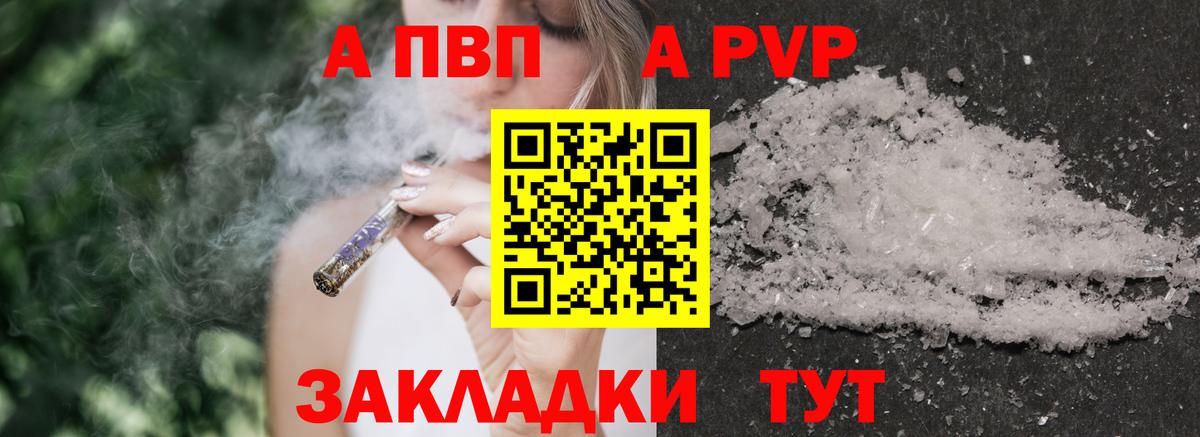 Alfa_PVP СК КРИС Армавир