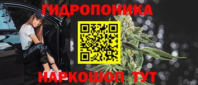 мяу мяу мука Краснознаменск