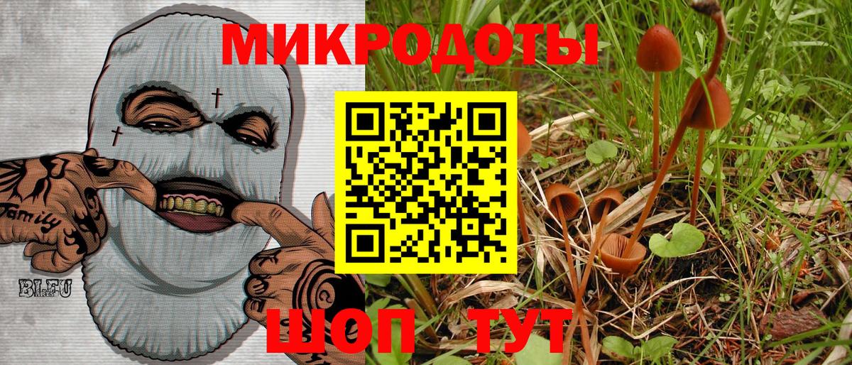 Псилоцибиновые грибы мухоморы Армавир