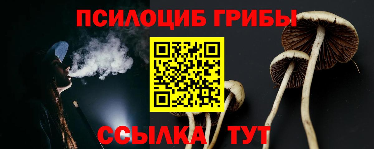Армавир  Галлюциногенные грибы Psilocybe  Галлюциногенные грибы Magic Shrooms  Вход с VPN 